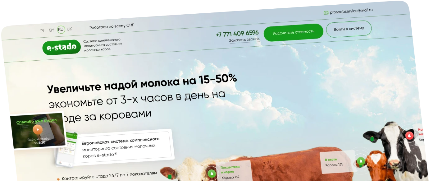 фоновая картинка