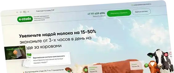 фоновая картинка